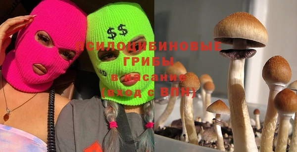 бошки Беломорск